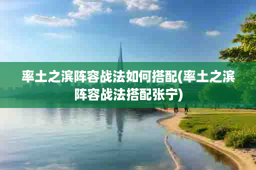 率土之滨阵容战法如何搭配(率土之滨阵容战法搭配张宁)