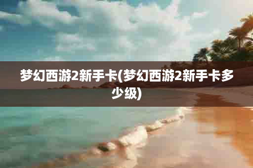 梦幻西游2新手卡(梦幻西游2新手卡多少级)