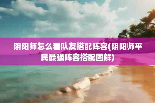 阴阳师怎么看队友搭配阵容(阴阳师平民最强阵容搭配图解)