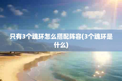 只有3个魂环怎么搭配阵容(3个魂环是什么)