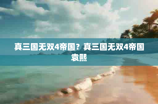真三国无双4帝国？真三国无双4帝国袁熙
