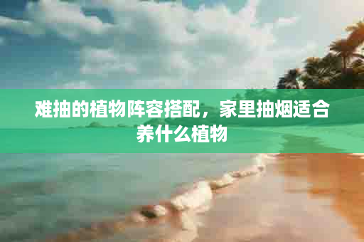 难抽的植物阵容搭配，家里抽烟适合养什么植物
