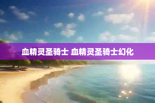 血精灵圣骑士 血精灵圣骑士幻化
