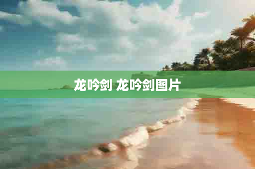 龙吟剑 龙吟剑图片