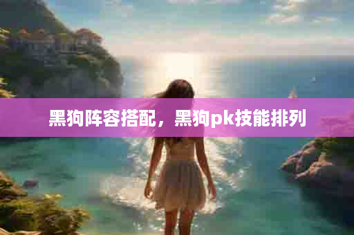 黑狗阵容搭配，黑狗pk技能排列