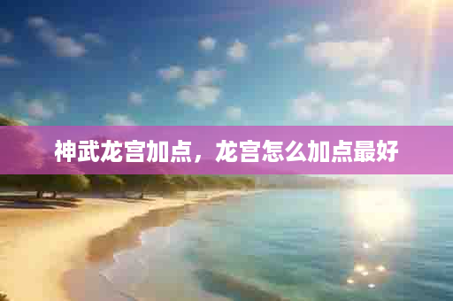 神武龙宫加点，龙宫怎么加点最好