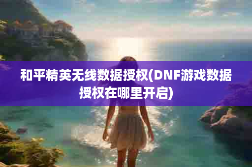 和平精英无线数据授权(DNF游戏数据授权在哪里开启)