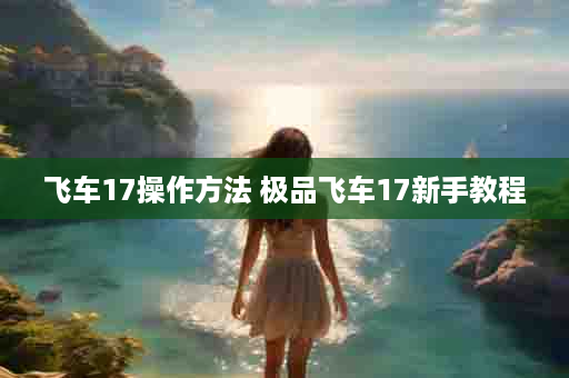 飞车17操作方法 极品飞车17新手教程
