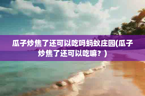 瓜子炒焦了还可以吃吗蚂蚁庄园(瓜子炒焦了还可以吃嘛？)