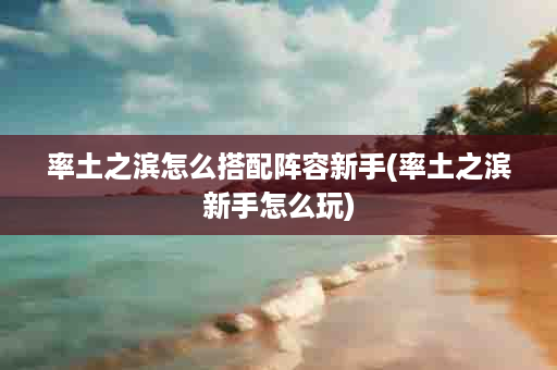 率土之滨怎么搭配阵容新手(率土之滨新手怎么玩)