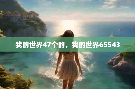 我的世界47个的，我的世界65543