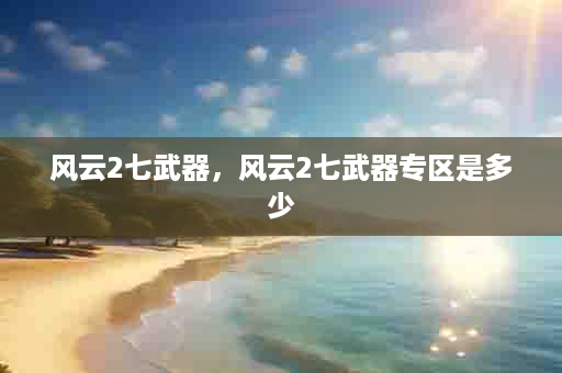 风云2七武器，风云2七武器专区是多少