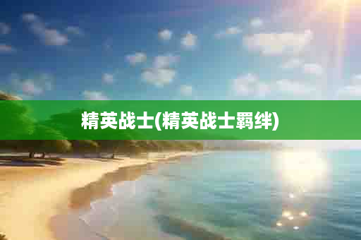 精英战士(精英战士羁绊)