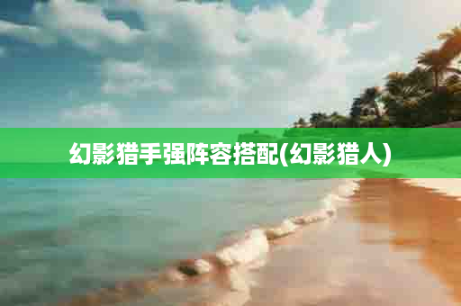 幻影猎手强阵容搭配(幻影猎人)