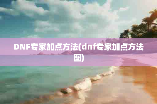 DNF专家加点方法(dnf专家加点方法图)