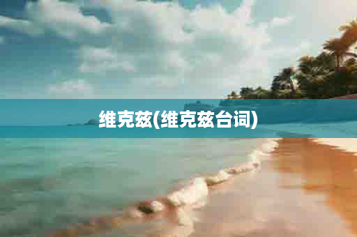 维克兹(维克兹台词)