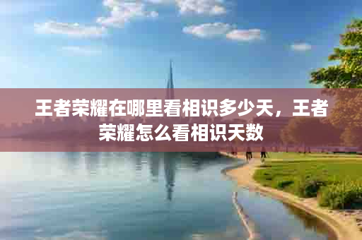 王者荣耀在哪里看相识多少天，王者荣耀怎么看相识天数