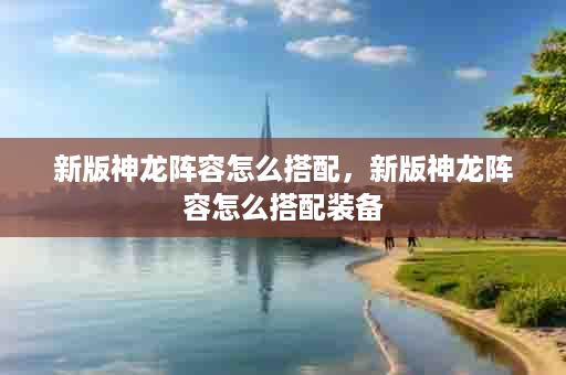 新版神龙阵容怎么搭配，新版神龙阵容怎么搭配装备