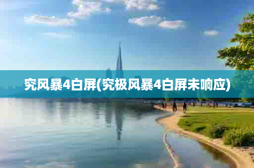 究风暴4白屏(究极风暴4白屏未响应)