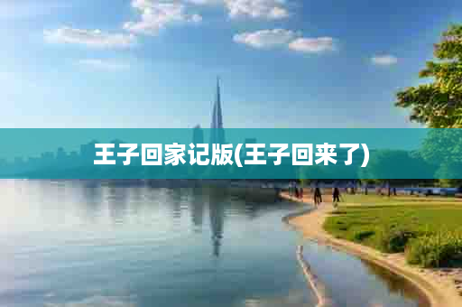 王子回家记版(王子回来了)