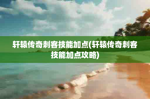 轩辕传奇刺客技能加点(轩辕传奇刺客技能加点攻略)