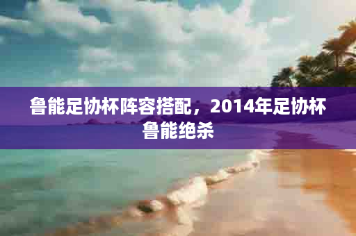 鲁能足协杯阵容搭配，2014年足协杯鲁能绝杀