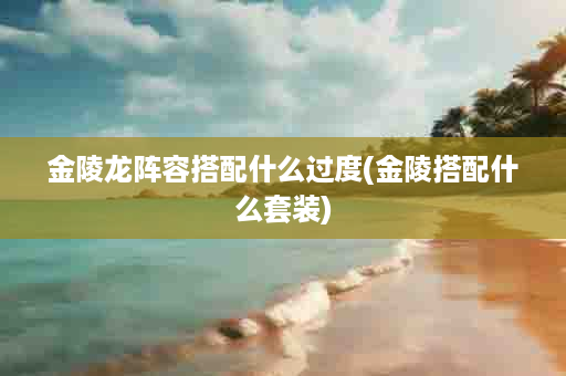 金陵龙阵容搭配什么过度(金陵搭配什么套装)