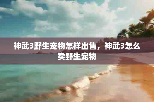 神武3野生宠物怎样出售，神武3怎么卖野生宠物