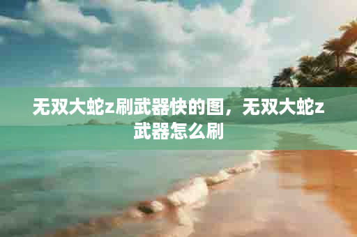 无双大蛇z刷武器快的图，无双大蛇z武器怎么刷