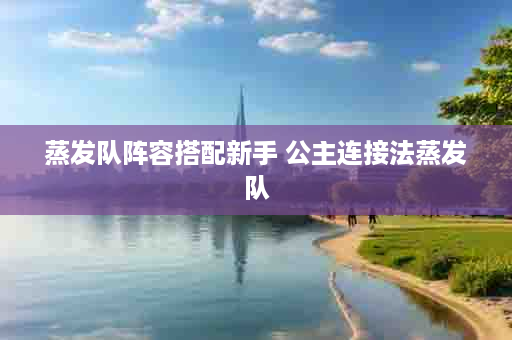 蒸发队阵容搭配新手 公主连接法蒸发队