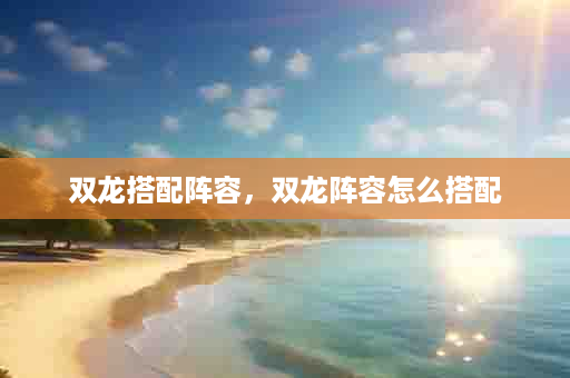 双龙搭配阵容，双龙阵容怎么搭配