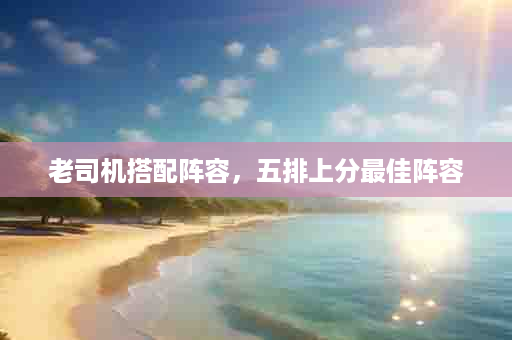老司机搭配阵容，五排上分最佳阵容