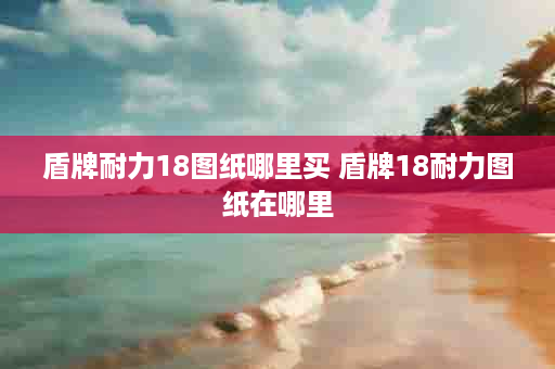 盾牌耐力18图纸哪里买 盾牌18耐力图纸在哪里