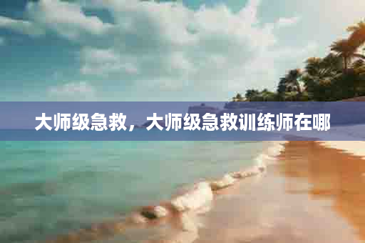 大师级急救，大师级急救训练师在哪