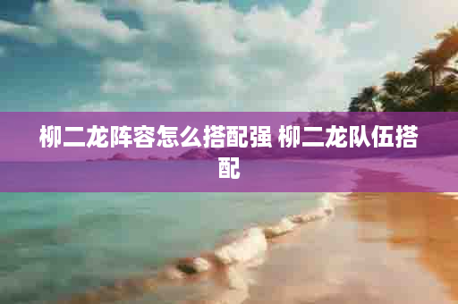 柳二龙阵容怎么搭配强 柳二龙队伍搭配