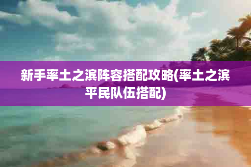 新手率土之滨阵容搭配攻略(率土之滨平民队伍搭配)