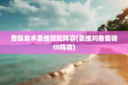 曹操袁术姜维搭配阵容(姜维刘备蜀骑t0阵容)
