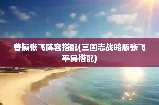 曹操张飞阵容搭配(三国志战略版张飞平民搭配)