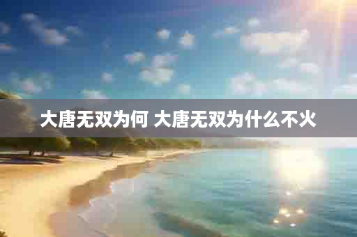 大唐无双为何 大唐无双为什么不火