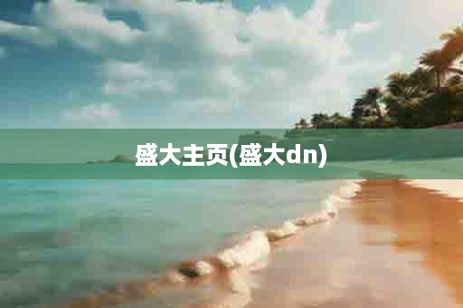 盛大主页(盛大dn)
