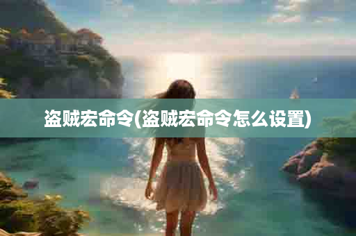 盗贼宏命令(盗贼宏命令怎么设置)