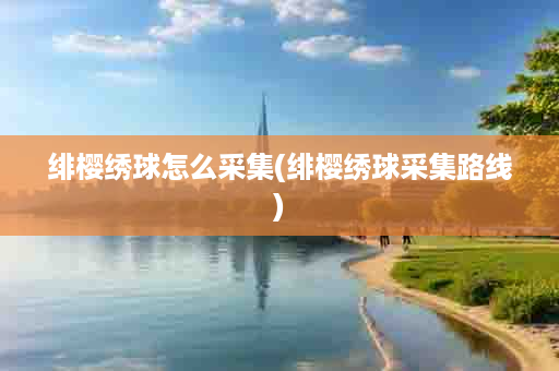 绯樱绣球怎么采集(绯樱绣球采集路线)