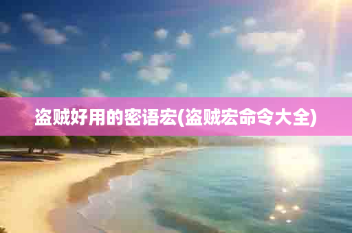盗贼好用的密语宏(盗贼宏命令大全)
