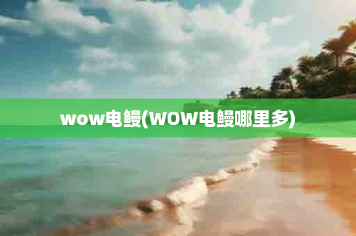 wow电鳗(WOW电鳗哪里多)