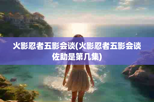 火影忍者五影会谈(火影忍者五影会谈佐助是第几集)