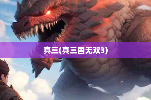 真三(真三国无双3)