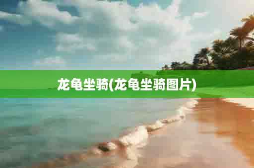 龙龟坐骑(龙龟坐骑图片)
