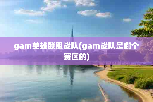 gam英雄联盟战队(gam战队是哪个赛区的)