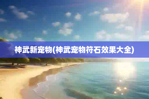神武新宠物(神武宠物符石效果大全)