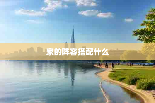 家的阵容搭配什么